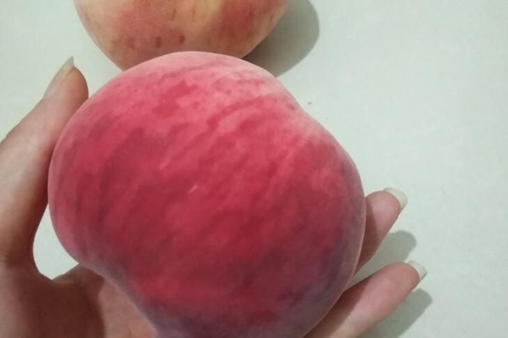 水蜜桃产业：政策引领，标准护航，迈向新程