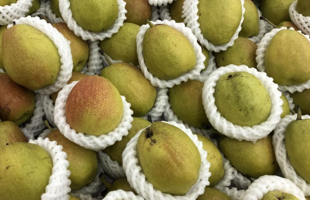 新疆維吾爾自治區人民政府辦公廳關于印發《支持農產品加工業高質量發展若干政策措施》的通知 