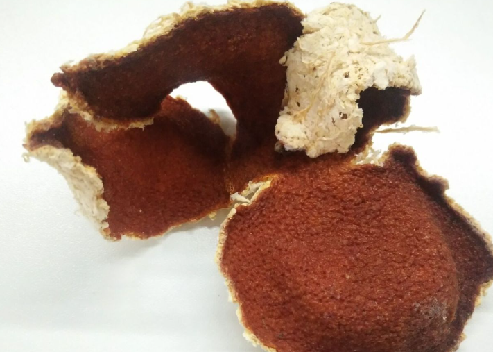 廣東江門新會區(qū)通報(bào)陳皮產(chǎn)地造假：對6家企業(yè)作出處理