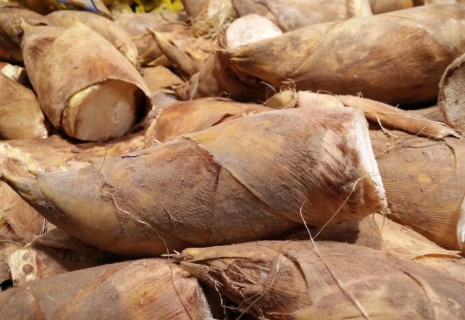 春筍深加工：借機(jī)械之力，讓山間鮮味四季留香