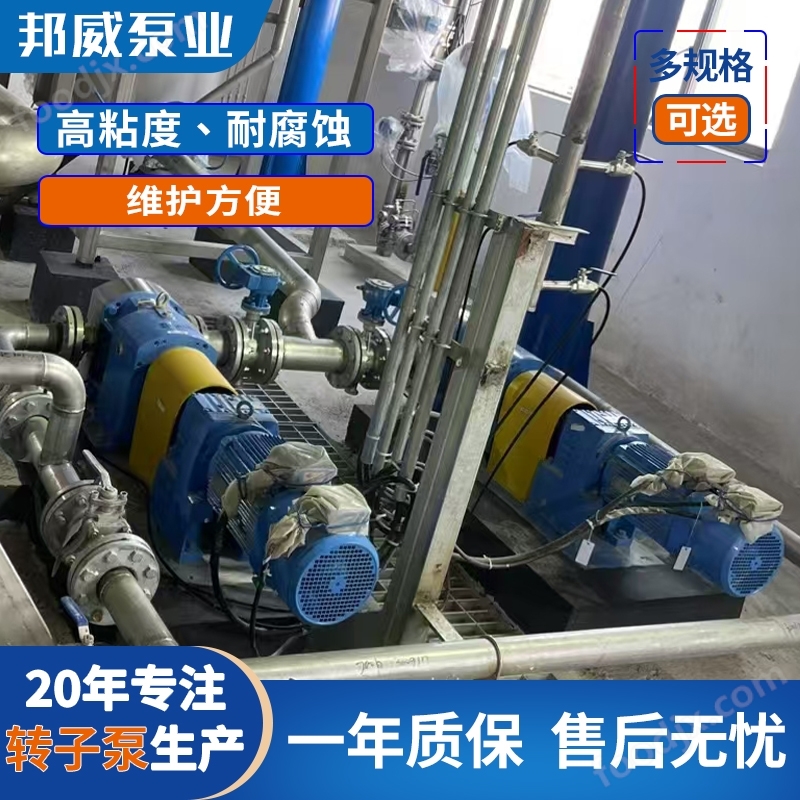 邦威精細化工食品環(huán)保凸輪轉子泵