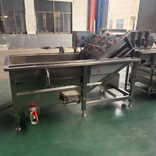 地瓜气泡清洗机 红薯干清洗包装流水线