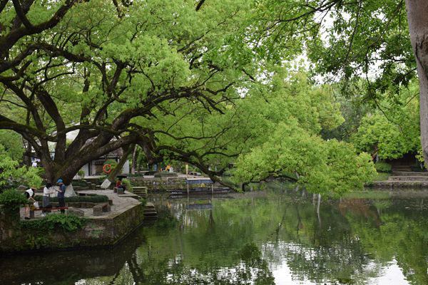 麥當(dāng)勞中國餐食包裝綠色再升級，全國餐廳將陸續(xù)啟用生物基新包裝