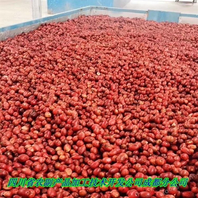 草果烘干機(jī) 調(diào)味品加工機(jī)械 木山1型