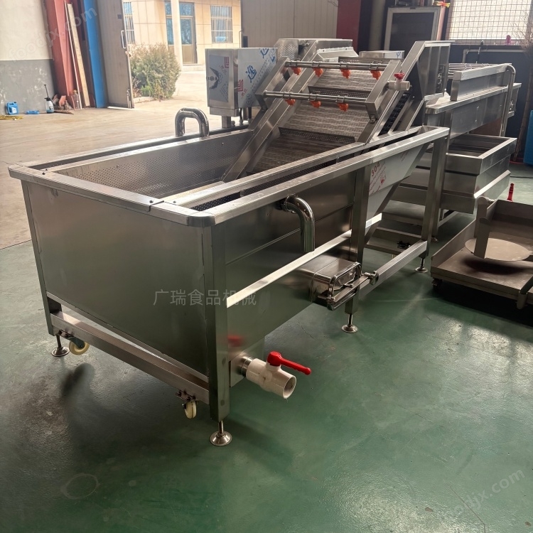 鲜黄精清洗生产线