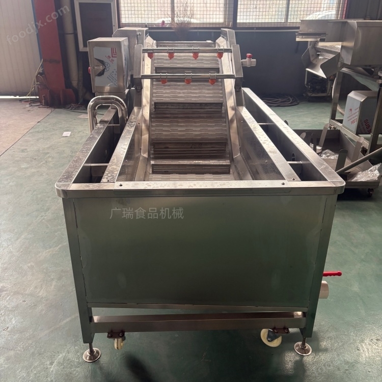 香菇清洗流水線 全自動(dòng)蔬菜清洗機(jī)
