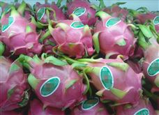 �ҹ��׸���������Ʒ���ұ�׼��ʽʵʩ