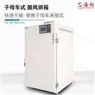 電熱恒溫鼓風(fēng)烘箱 工業(yè)烘烤箱快速干燥490L