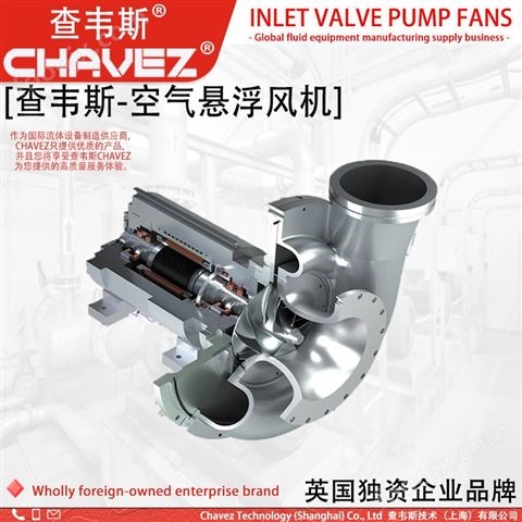 查韋斯 進(jìn)口 空氣懸浮真空泵 羅茨 負(fù)壓風(fēng)機(jī)