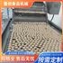 全套肉丸加工流水线 大型连续式丸子生产线
