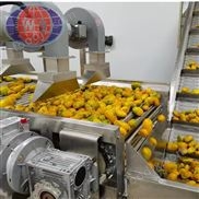 鮮果洗果機(jī)